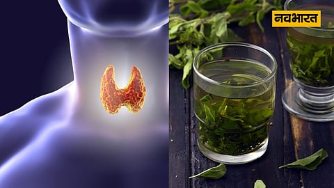 Thyroid Day, Health News
