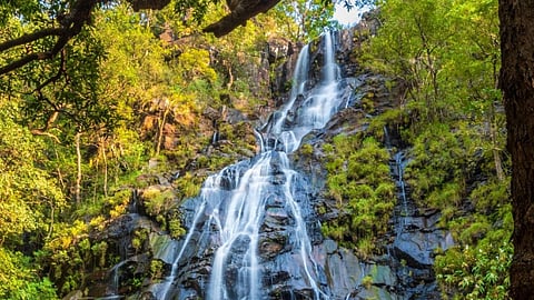 Bee Waterfall in MP