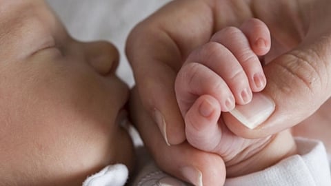 World IVF Day 2024