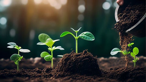 Plant these plants in Saavan to get the blessings of Shiva