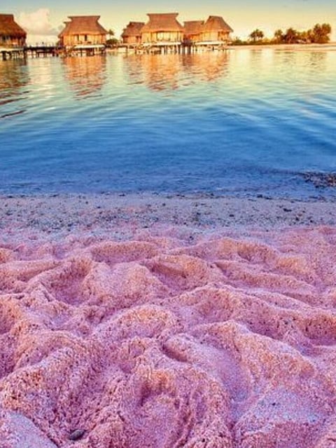 Pink Beach (5)
