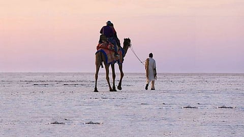 Gujarat Tourism