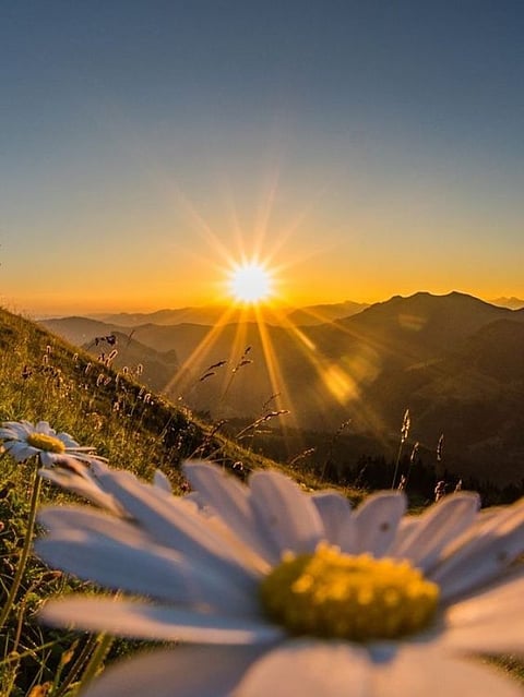 Sun Rise
