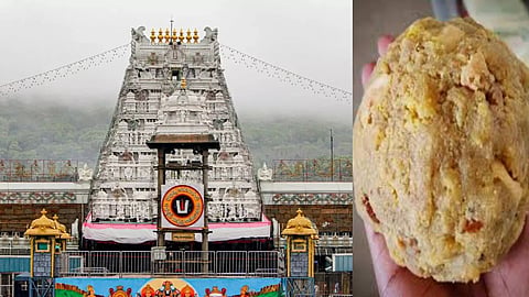 तिरुपति मंदिर ने माना 'लड्डू में चर्बी', अब प्रसादम की पवित्रता की गई बहाल