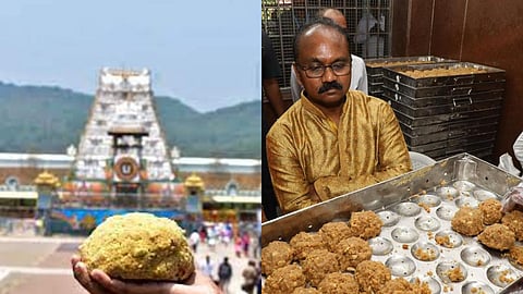 तिरुपति विवाद: मात्र 320 रुपये में कहां से मिलेगा शुद्ध देशी घी? लड्डू की बिक्री से 500 करोड़ की कमाई, फिर क्या है मज़बूरी