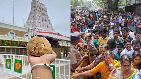 तिरुपति के लड्डू में चर्बी वाला घी, TDP बोली - लैब रिपोर्ट में फिश ऑयल का भी मिला जिक्र