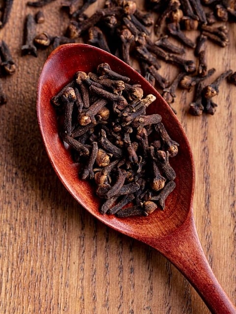 Clove (5)