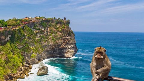 indonesia bali