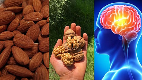 memory Boosting Food, Health