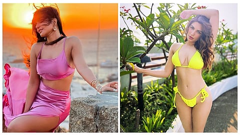 aamir khan mann actress shama sikander break silence about bollywood why she left acting industry