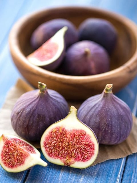 Fig (3)