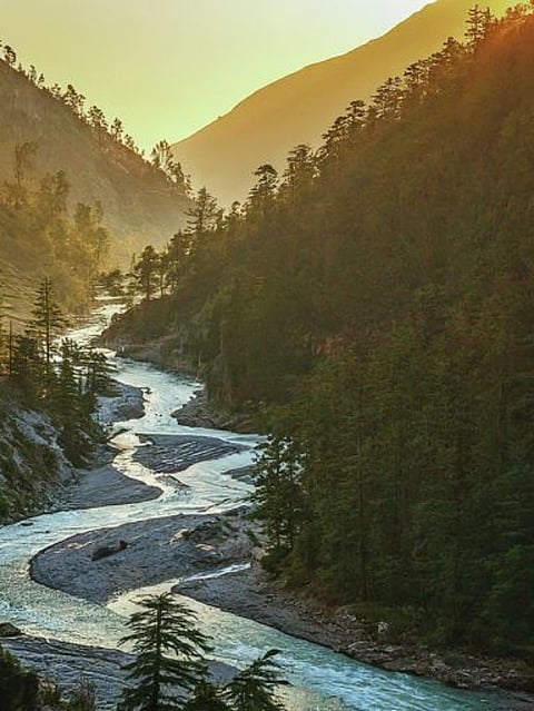 Ganga river (4)