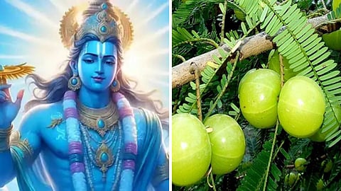 अक्षय नवमी 2024. भगवान श्रीकृष्ण