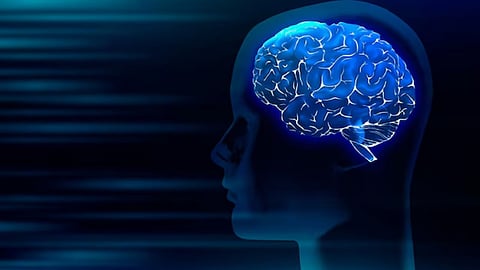 Mind Activities, Memory Booster