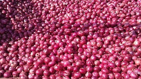Onion prices will remain high in November says a research report of ICICI bank