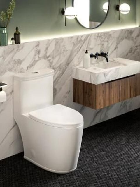 Toilet (7)