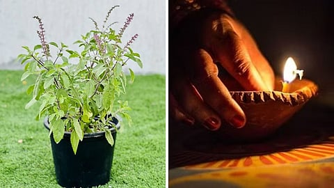 तुलसी का पौधा, दीपक जलाने के उपाय