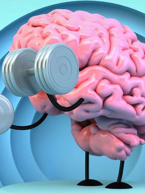 Brain Exercise 8