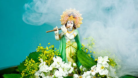 तुलसी ही नहीं 'इन' पेड़ों की पत्तियां भी प्रिय हैं श्रीकृष्ण को, चरणों में करें अर्पित, बरसेगी बंसीधर की आपार कृपा