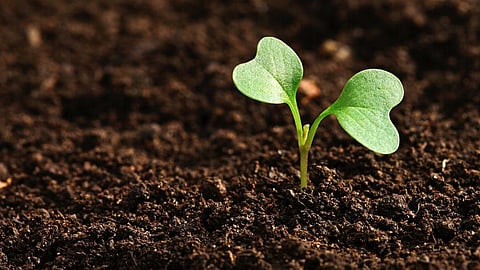 आज है World Soil Day, आख़िर क्या ज़रूरत है इस ख़ास दिन को मनाने की, जानिए इसका इतिहास भी