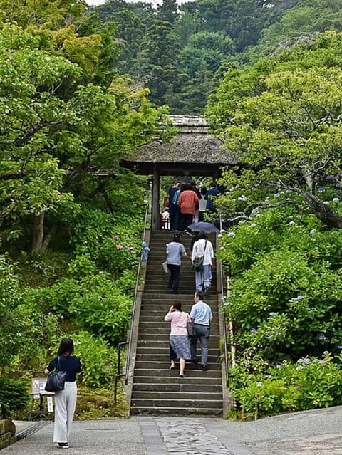 Divorce temple (5)