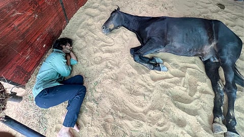 अमन देवगन ने डेब्यू फिल्म 'आजाद' के लिए घोड़े के साथ बिताए 10 दिनों से ज्यादा का समय