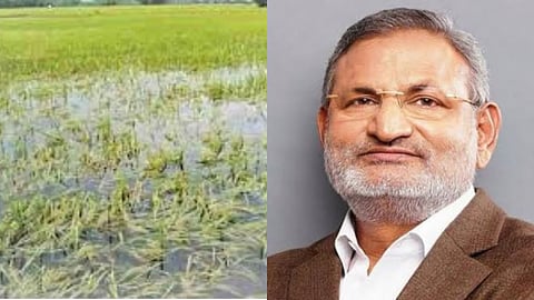 महाराष्ट्र में फसल बीमा योजना में मामूली अनियमितताएं देखी गईं : मंत्री मणिकराव कोकाटे