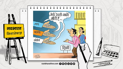 दिल्ली विधानसभा चुनाव 2025, रेवड़ी