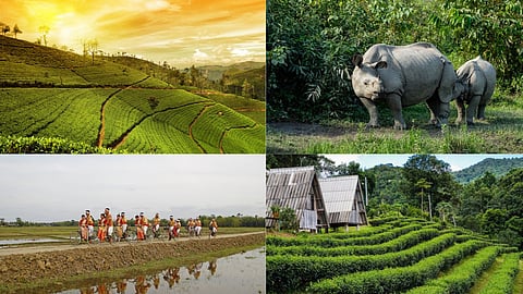 भारत का यह राज्य बना वर्ल्ड का बेस्ट ट्रैवल डेस्टिनेशन, न्यूयॉर्क टाइम्स के टॉप टूरिस्ट स्पॉट में बनाई जगह