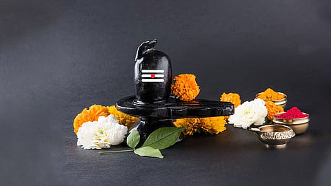 जमीन से अचानक प्रकट हुआ शिवलिंग
