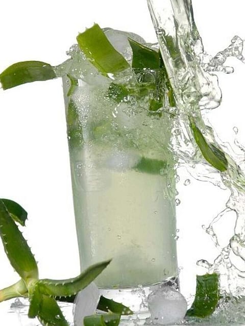 aloe vera juice (5)