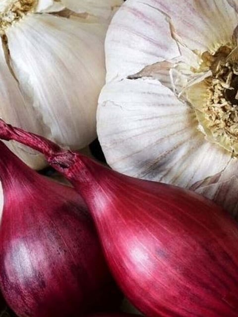 garlic and onion (5)