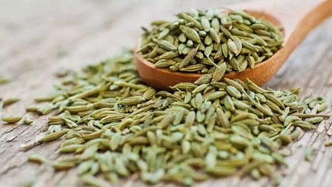 सौंफ कैसे खाएं, चबाएं या पावडर बनाकर करें सेवन, औषधीय गुणों से भरपूर सौंफ के फायदे कर देंगे हैरान