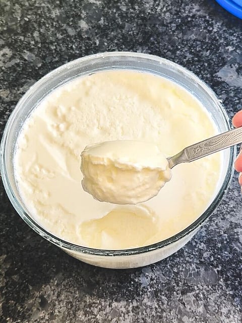 Curd 6 (1)