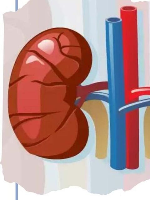 kidney infection (1)