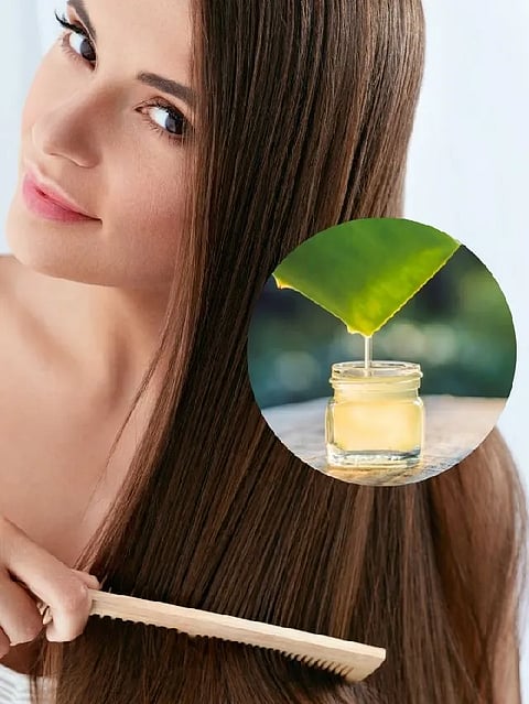 गर्मी में बालों पर लगाएं एलोवेरा मिलेंगे कई फायदे, जानें कैसे