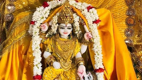संकटों से बचाएंगी मां बगलामुखी, कोर्ट केस में मिलेगी जीत, 'बगलामुखी जयंती' के दिन करें इस विधि से पूजा