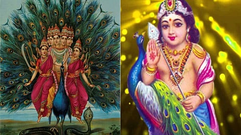 मई में इस दिन है स्कंद षष्ठी, जानिए पूजा का शुभ मुहूर्त और सनातन धर्म में इस दिन का महत्व