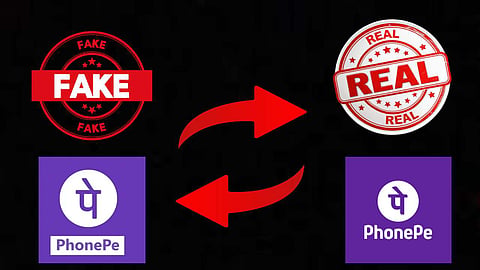Real And Fake