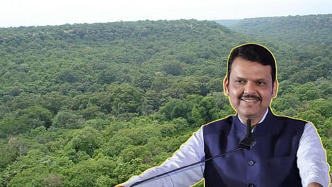 Nagpur News: झोपड़पट्टी धारकों को मिलेगा मालकाना हक, सुप्रीम कोर्ट ने झुड़पी का दिया जंगल का दर्जा