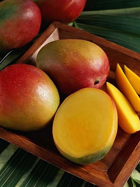Mango