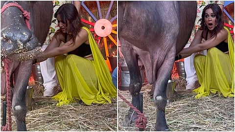 nia sharma