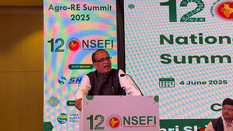 National Solar Energy Federation of India