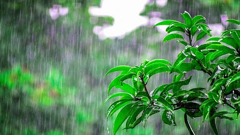 कोंकण समेत घाटों में भारी बारिश