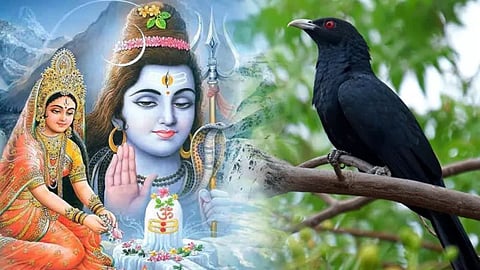 कोकिला व्रत से मिलेगा मनचाहा और सुयोग्य वर, सुहागनों के लिए इस व्रत की महिमा भी जानिए