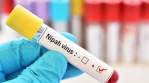 nipah virus in kerala