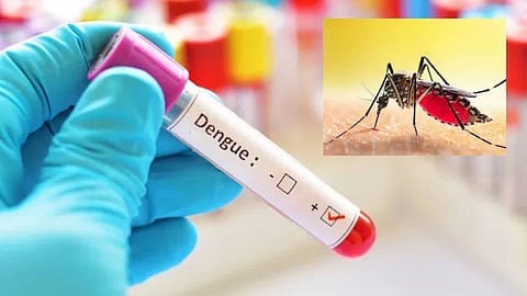डेंगू के लिए 24 घंटे नियंत्रण कक्ष