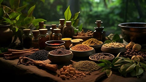 जड़ी बूटियों में छुपा है आयुर्वेद का सार