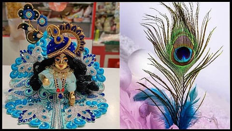मोर पंख के ये उपाय खोल देते हैं किस्मत के दरवाजे, जन्माष्टमी के दिन जरूर करें ये महाउपाय