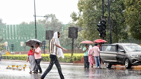 Rain Alert